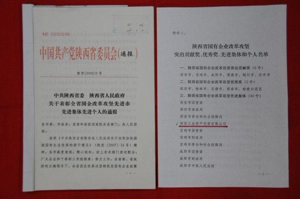 2009年2月，被陜西省委、省政府授予陜西省國(guó)有企業(yè)改革攻堅(jiān)先進(jìn)集體