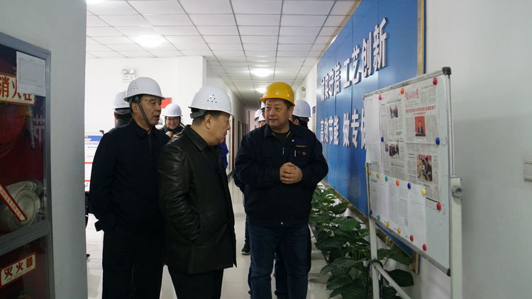 集團領(lǐng)導金輝帶隊赴標準電梯、標準熱處理進行工作調(diào)研